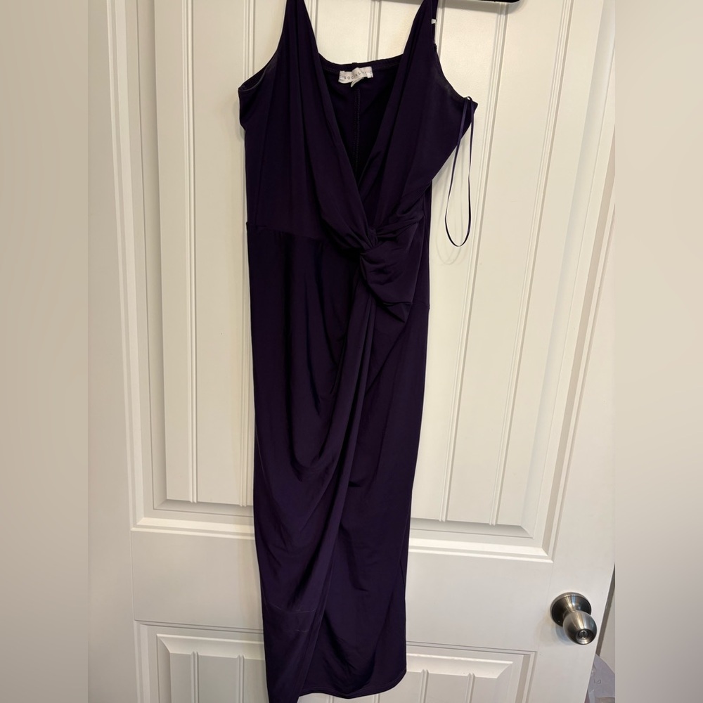 Social Lite Elegant Purple Women's Dress